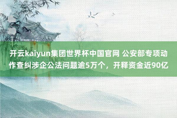 开云kaiyun集团世界杯中国官网 公安部专项动作查纠涉企公法问题逾5万个，开释资金近90亿