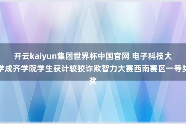 开云kaiyun集团世界杯中国官网 电子科技大学成齐学院学生获计较狡诈欺智力大赛西南赛区一等奖