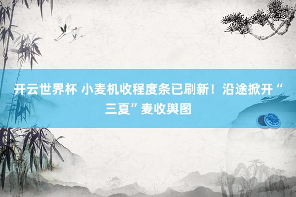 开云世界杯 小麦机收程度条已刷新！沿途掀开“三夏”麦收舆图