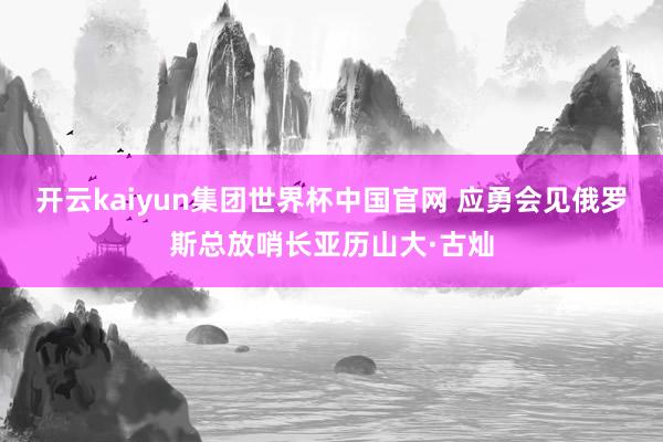 开云kaiyun集团世界杯中国官网 应勇会见俄罗斯总放哨长亚历山大·古灿