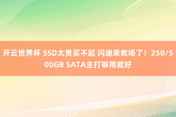 开云世界杯 SSD太贵买不起 闪迪来救场了！250/500GB SATA主打够用就好