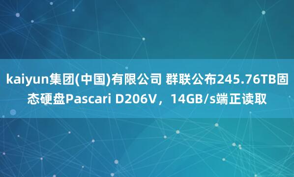 kaiyun集团(中国)有限公司 群联公布245.76TB固态硬盘Pascari D206V，14GB/s端正读取