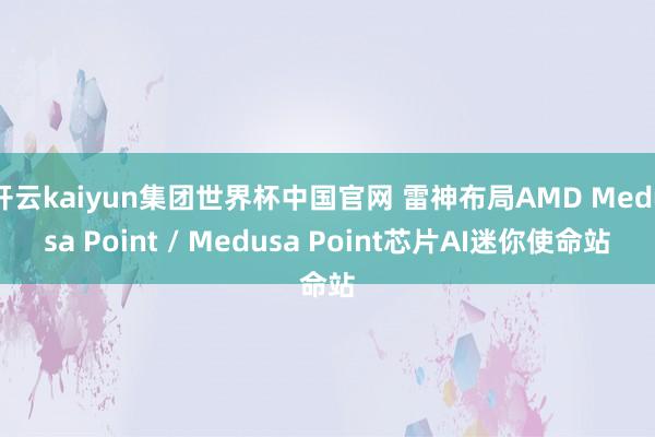开云kaiyun集团世界杯中国官网 雷神布局AMD Medusa Point / Medusa Point芯片AI迷你使命站