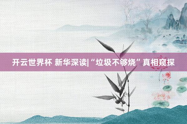 开云世界杯 新华深读|“垃圾不够烧”真相窥探