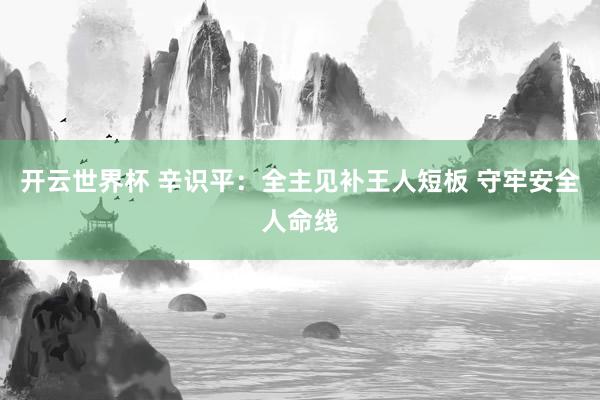 开云世界杯 辛识平：全主见补王人短板 守牢安全人命线