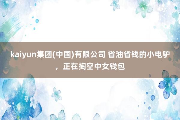 kaiyun集团(中国)有限公司 省油省钱的小电驴，正在掏空中女钱包