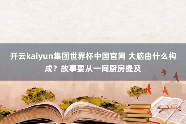 开云kaiyun集团世界杯中国官网 大脑由什么构成？故事要从一间厨房提及