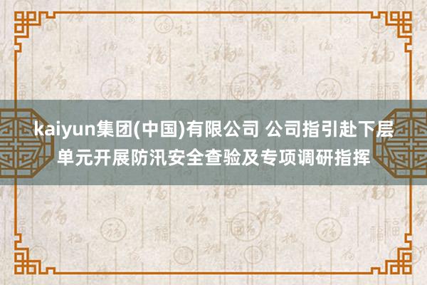 kaiyun集团(中国)有限公司 公司指引赴下层单元开展防汛安全查验及专项调研指挥