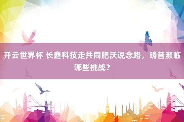 开云世界杯 长鑫科技走共同肥沃说念路，畴昔濒临哪些挑战？