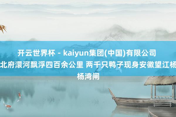 开云世界杯 - kaiyun集团(中国)有限公司 从湖北府澴河飘浮四百余公里 两千只鸭子现身安徽望江杨湾闸