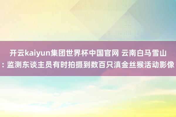 开云kaiyun集团世界杯中国官网 云南白马雪山: 监测东谈主员有时拍摄到数百只滇金丝猴活动影像